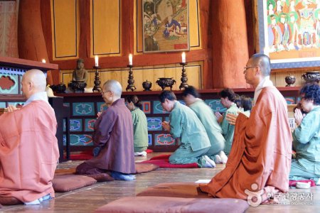禅雲寺テンプルステイ