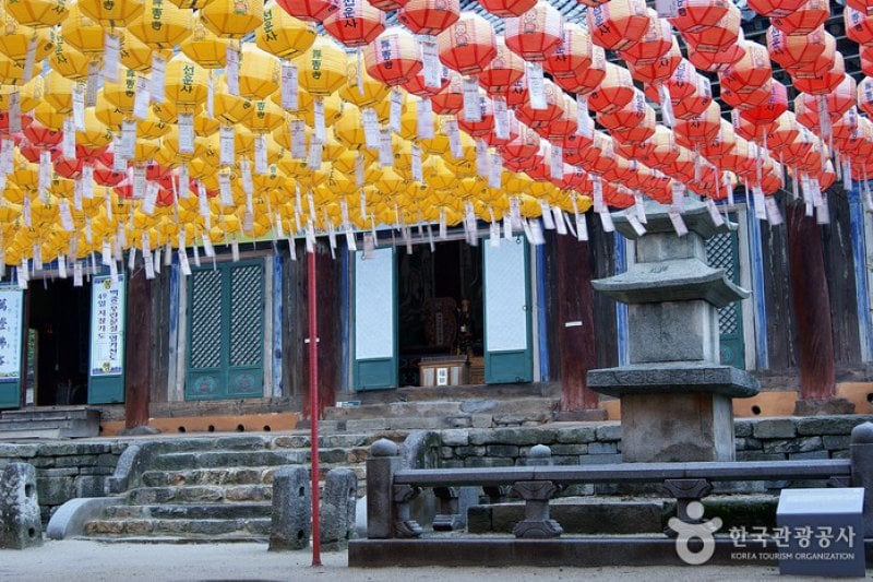 禅雲寺テンプルステイ (11/12)