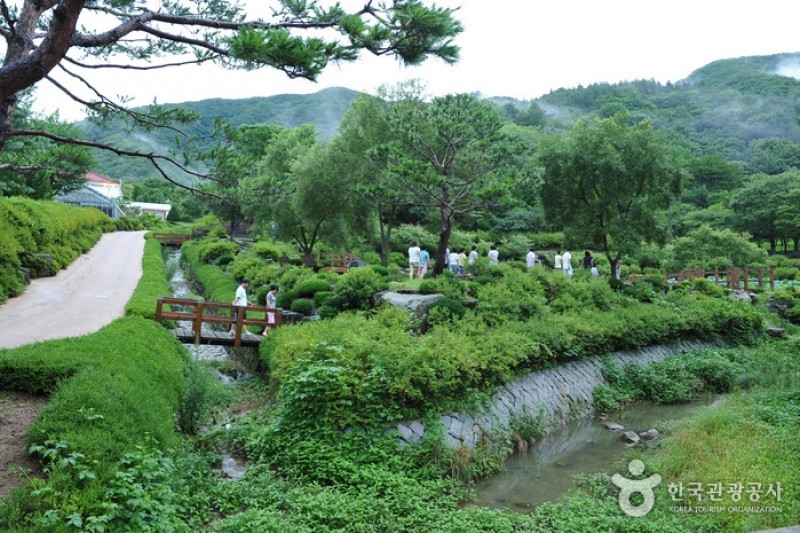 大雅樹木園 (4/16)