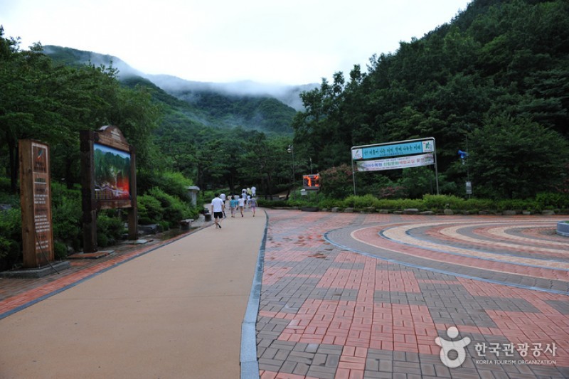 大雅樹木園 (7/16)