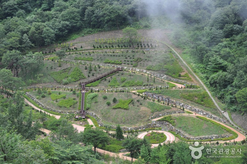 大雅樹木園 (8/16)