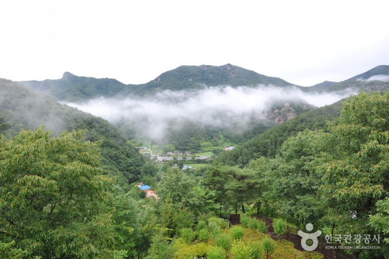 大雅樹木園 (9/16)