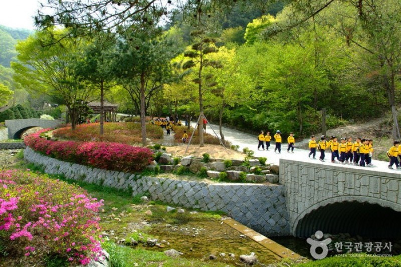 大雅樹木園 (10/16)