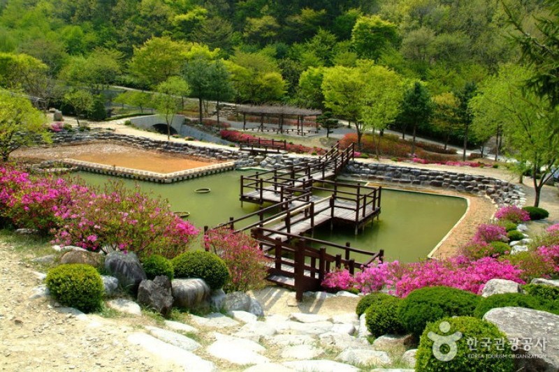 大雅樹木園 (11/16)