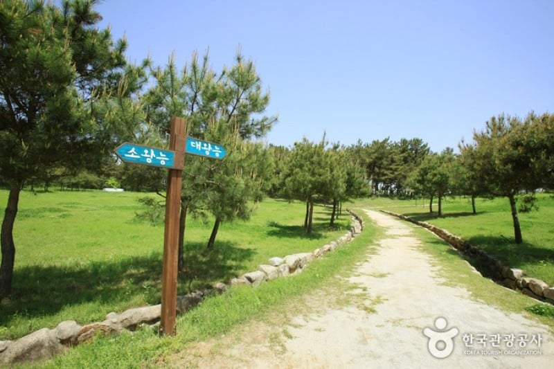 益山双陵 (1/16)