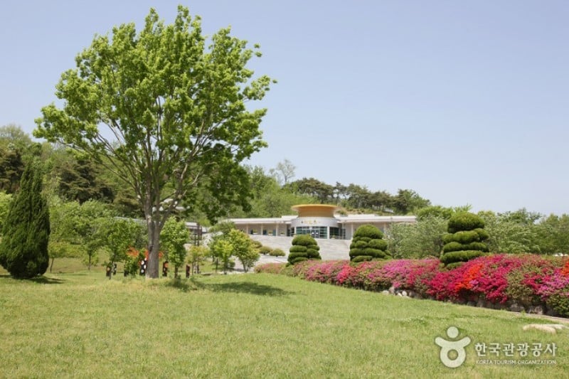 薯童公園 (2/27)