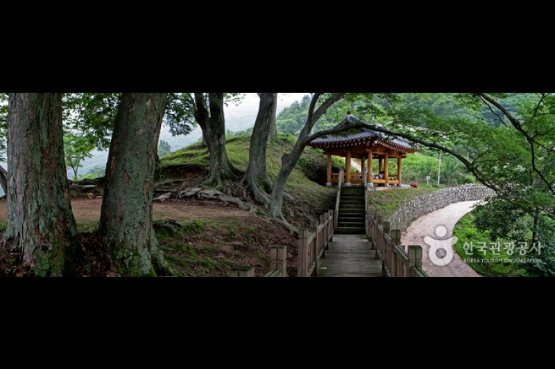 クダム村 (9/14)