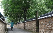 茂朱チジョンマウルの石塀(무주 지전마을 옛 담장)