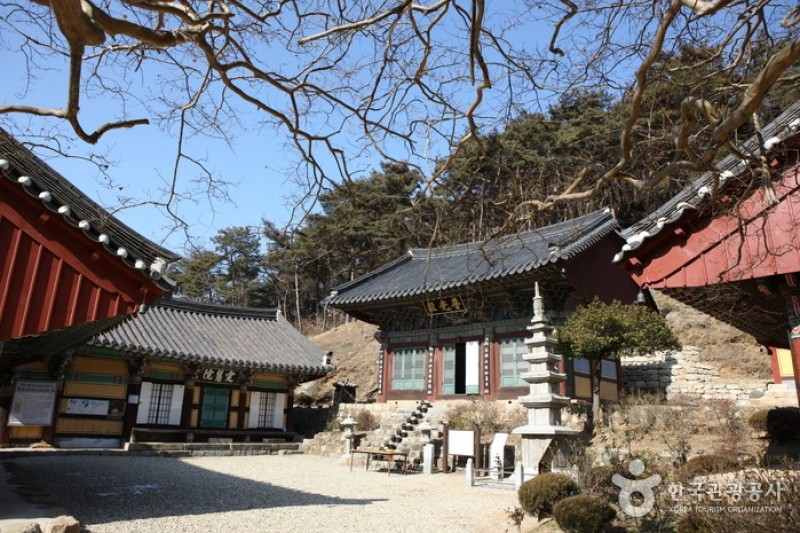 崇林寺 (4/4)