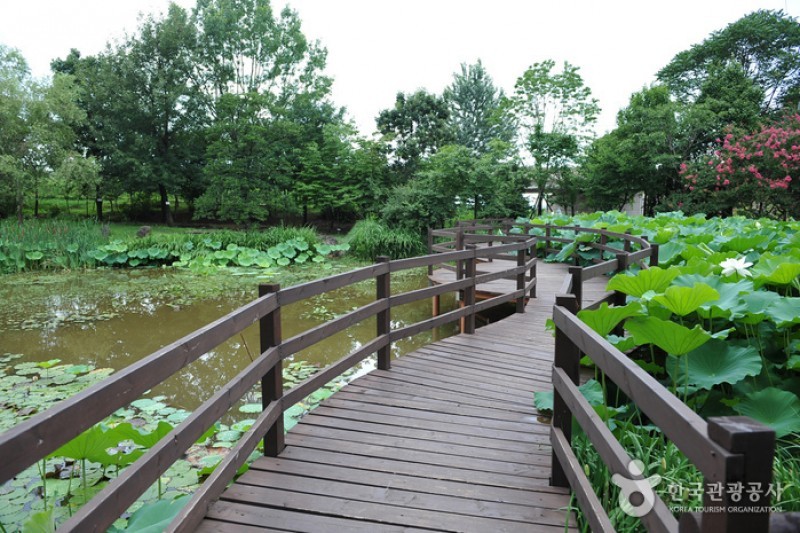 韓国道路公社樹木園 (1/13)