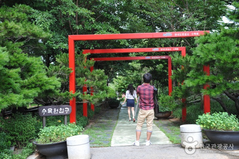 韓国道路公社樹木園 (5/13)