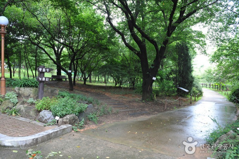 韓国道路公社樹木園 (6/13)