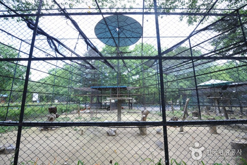 全州動物園 (2/6)