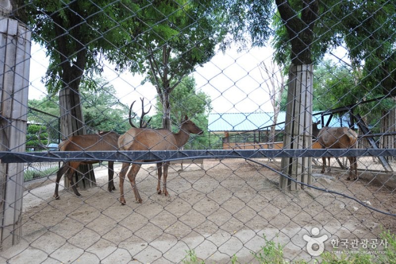 全州動物園 (3/6)