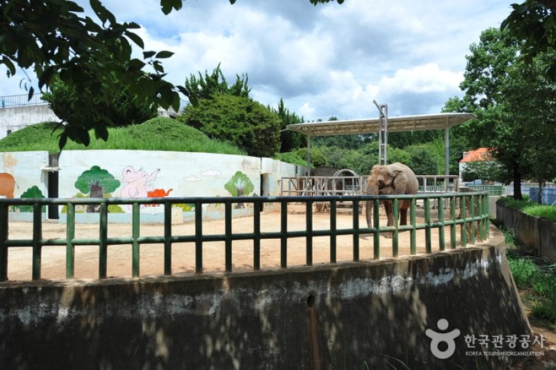 全州動物園 (6/6)