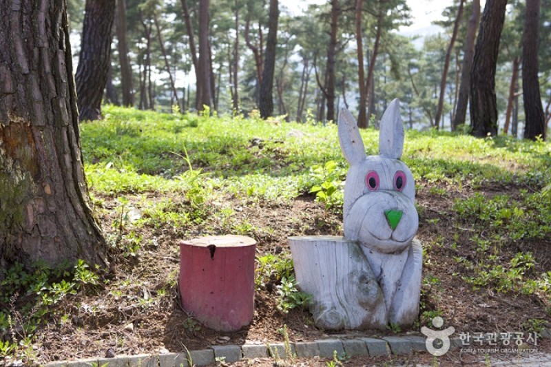 玉井湖チョウセンノギクテーマ公園 (14/23)