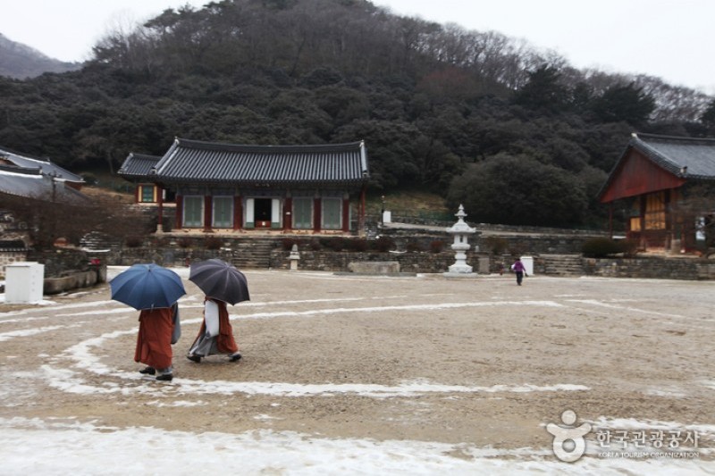禅雲山道立公園 (1/46)