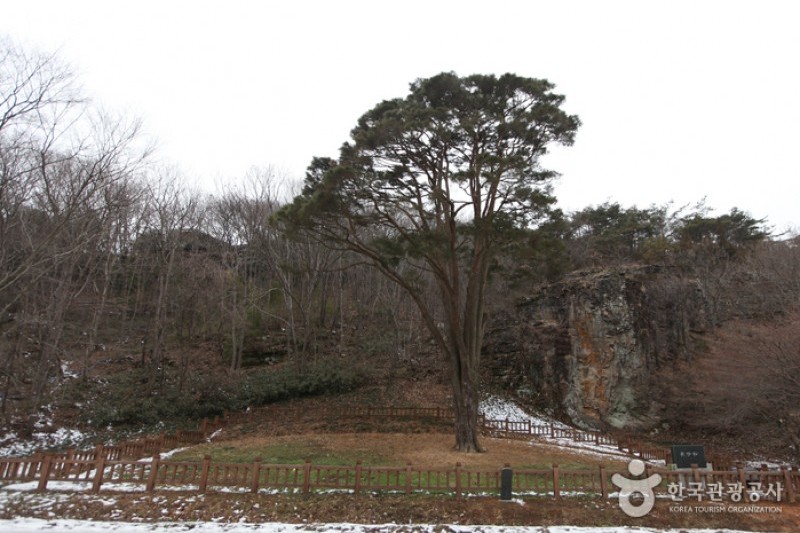 禅雲山道立公園 (6/46)