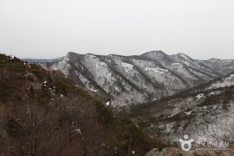禅雲山道立公園 (11/46)
