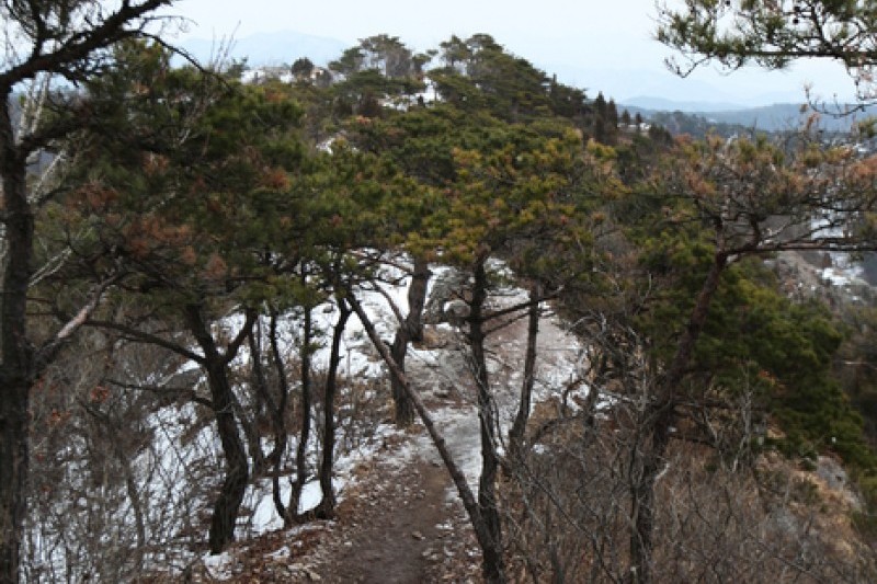 禅雲山道立公園 (13/46)