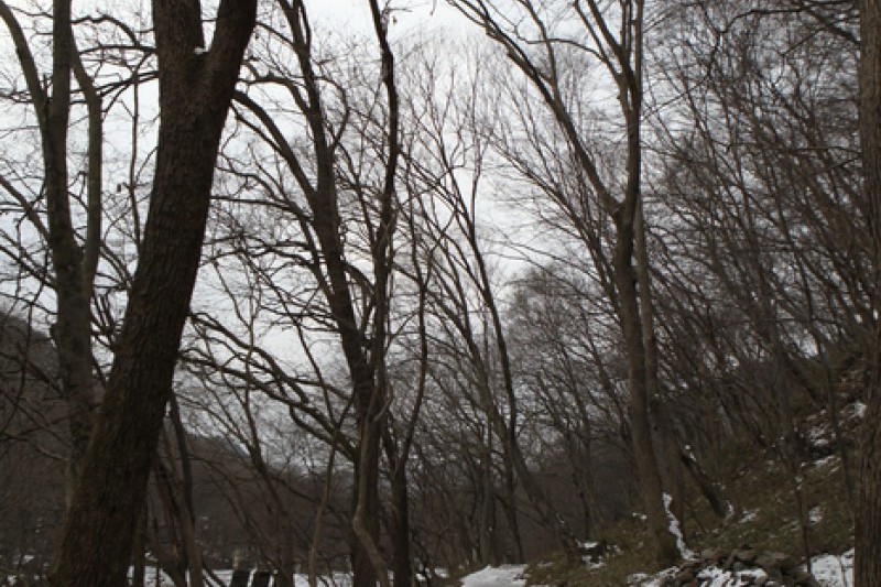 禅雲山道立公園 (29/46)