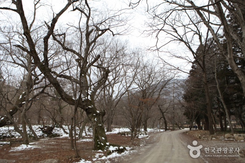 禅雲山道立公園 (32/46)