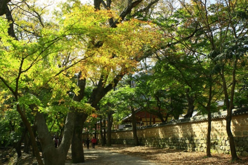 禅雲山道立公園 (35/46)