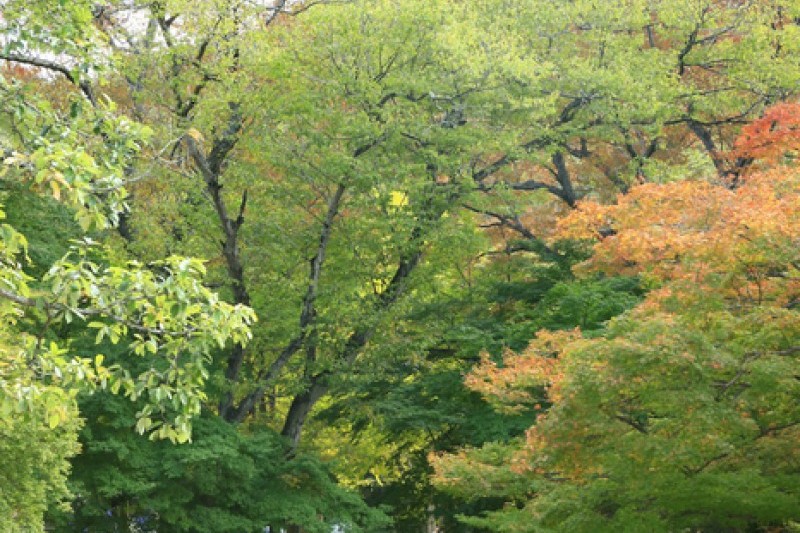 禅雲山道立公園 (36/46)