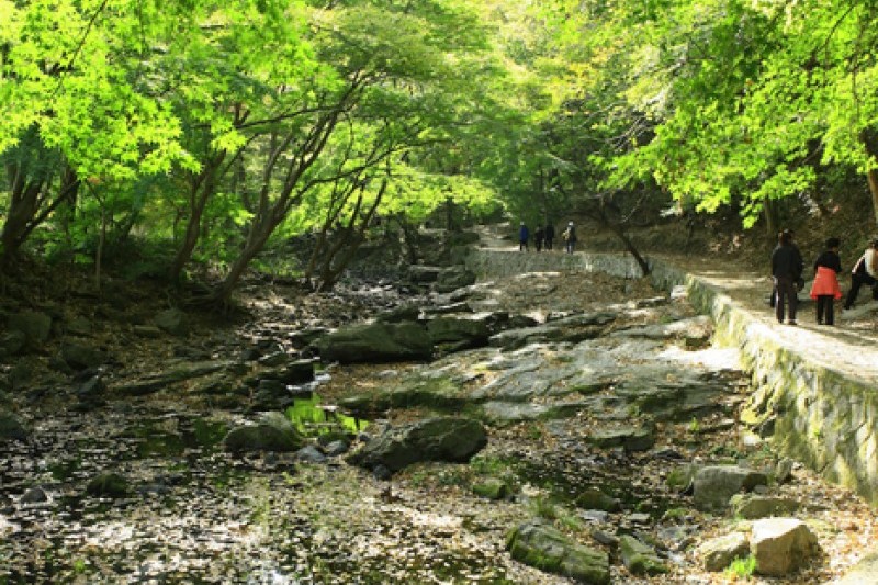 禅雲山道立公園 (37/46)