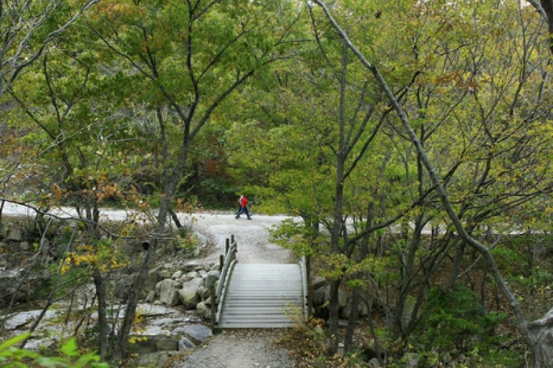 禅雲山道立公園 (39/46)