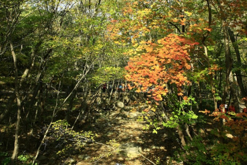 禅雲山道立公園 (40/46)