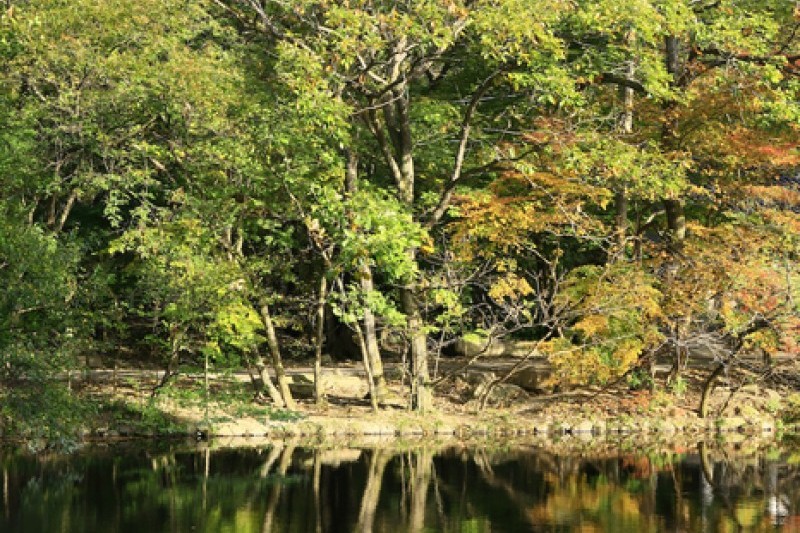 禅雲山道立公園 (43/46)