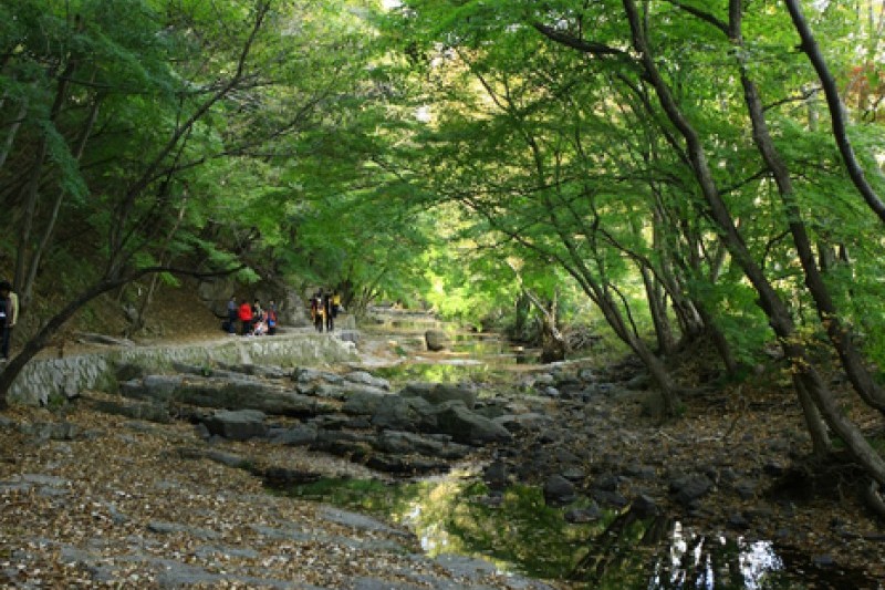 禅雲山道立公園 (44/46)