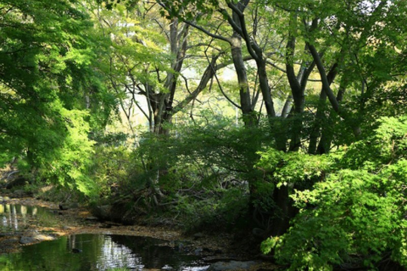 禅雲山道立公園 (45/46)