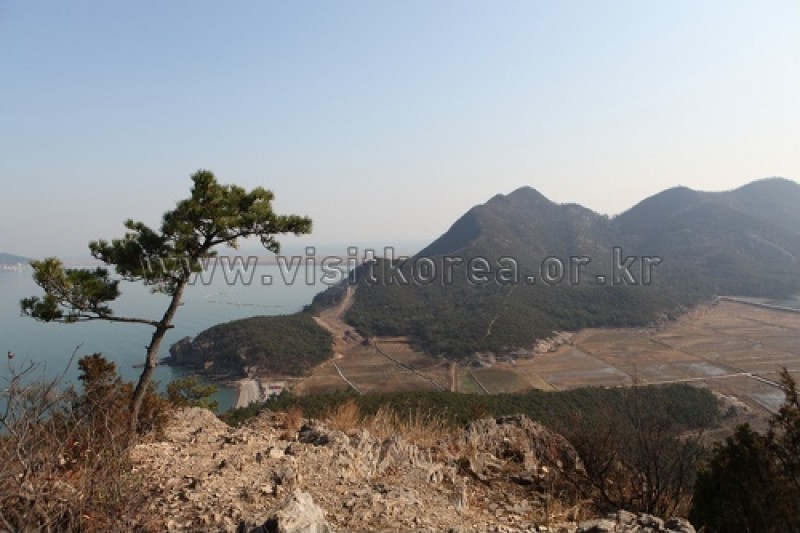 新侍島漁村体験村 (1/5)
