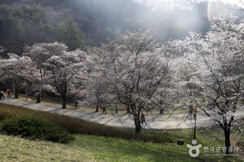 馬耳山道立公園 (20/22)