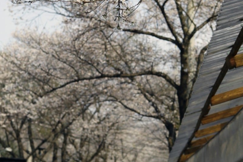 馬耳山道立公園 (21/22)