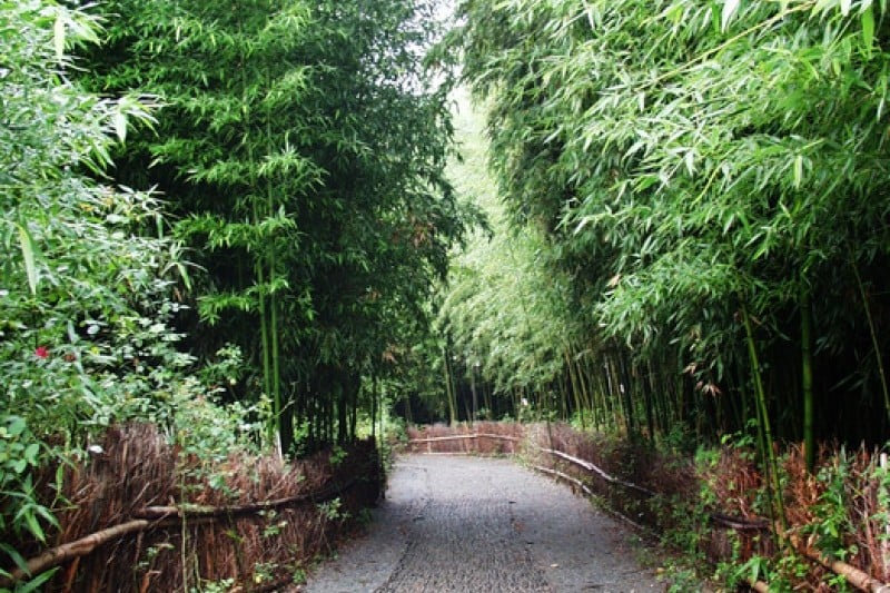 竹緑苑 (4/9)