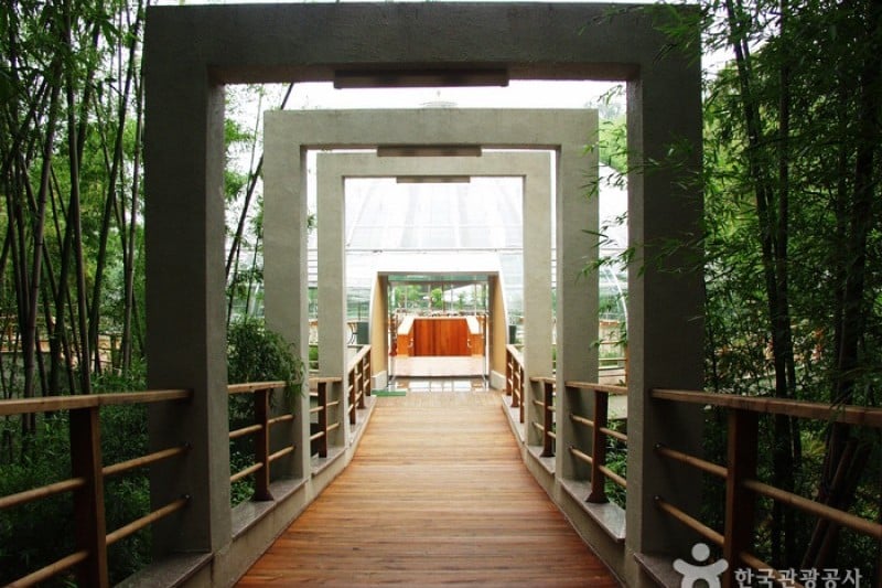 竹緑苑 (5/9)