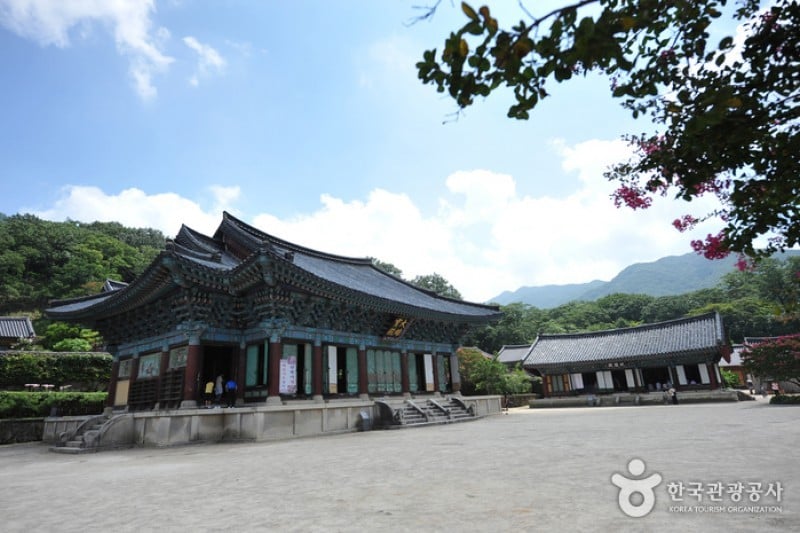 松広寺 (5/6)