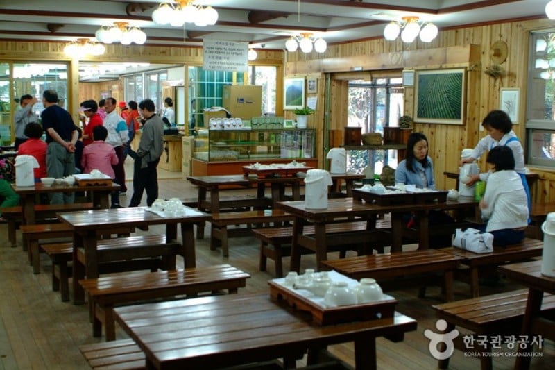 宝城茶畑 大韓茶園 (4/7)