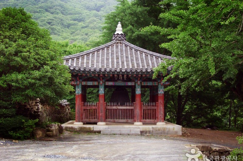 仙岩寺 (6/21)