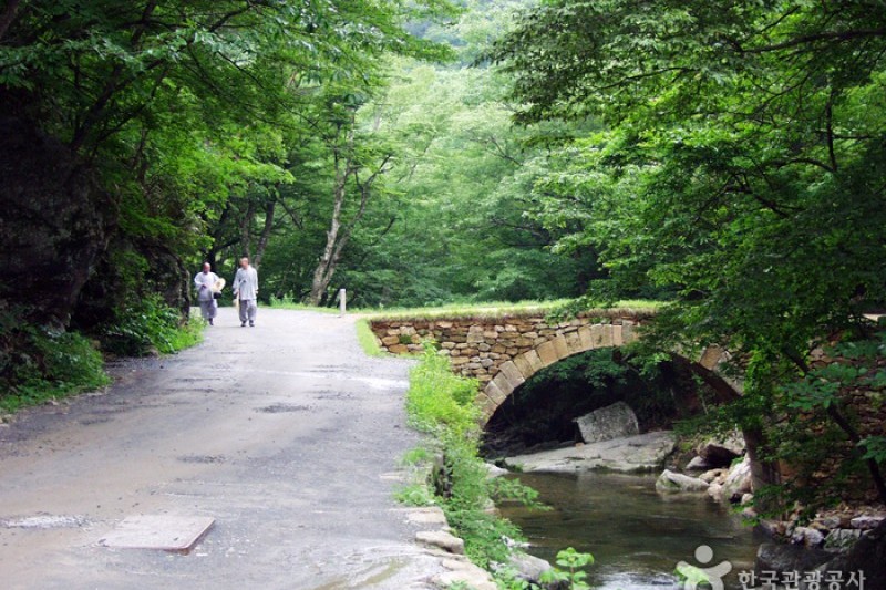 仙岩寺 (8/21)