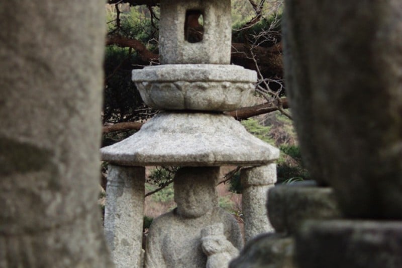 華厳寺 (6/20)