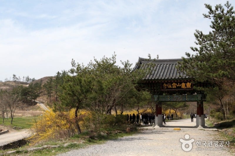 雲住寺 (2/25)