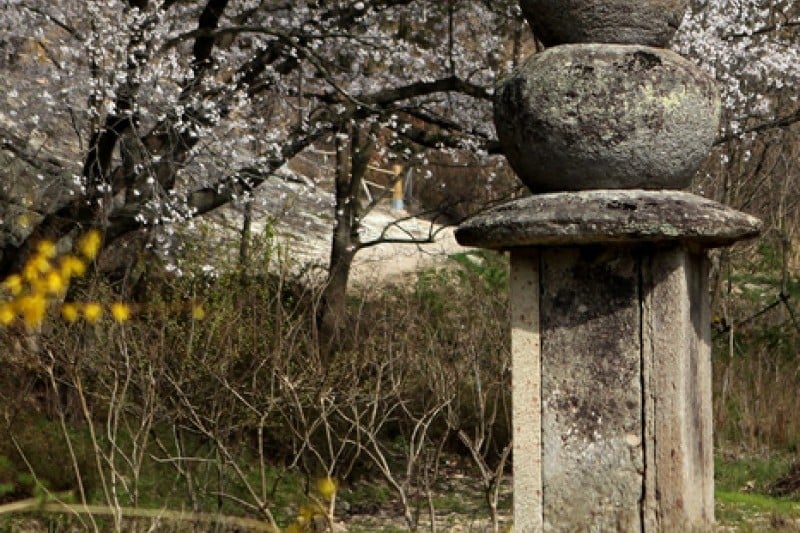 雲住寺 (9/25)