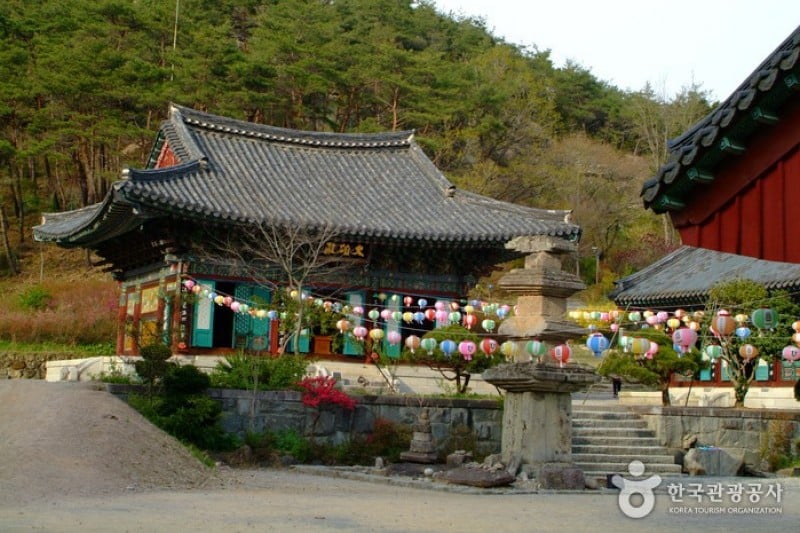 雲住寺 (24/25)