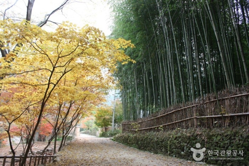 瀟灑園 (7/19)