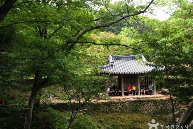 瀟灑園 (8/19)
