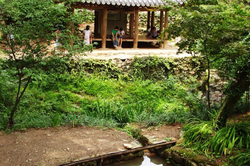 瀟灑園 (11/19)